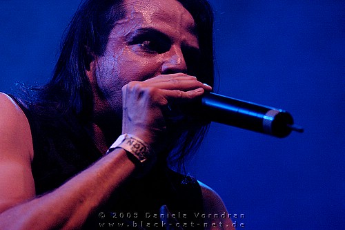 _DSC0971_klein.jpg