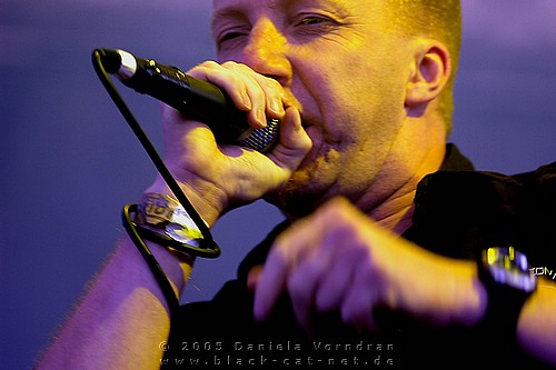 _DSC1531_klein.jpg