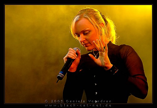 _DSC2240_klein.jpg