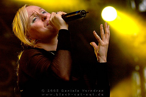 _DSC2306_klein.jpg