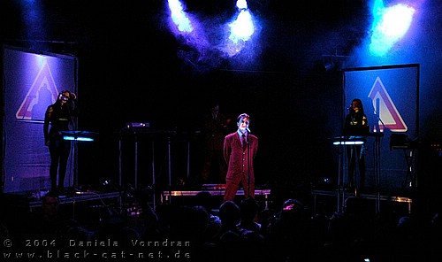DSC_0782.jpg