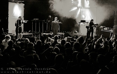 DSC_0803.jpg