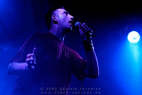 _DSC1385_klein.jpg