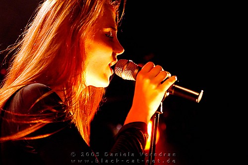 _DSC0203_klein.jpg