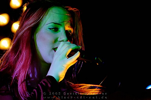 _DSC0264_klein.jpg