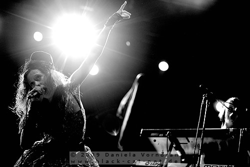 _DSC7985_klein.jpg