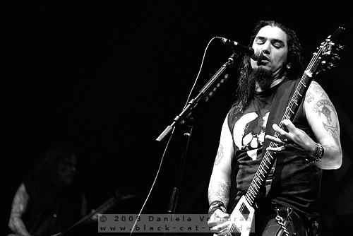 _DSC0708_klein.jpg