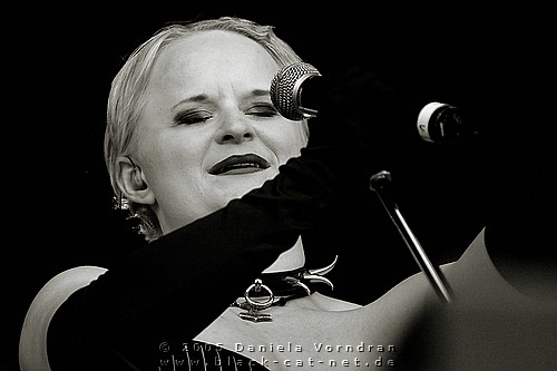 _DSC5184_klein.jpg