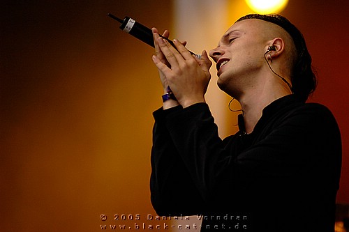 _DSC6347_klein.jpg