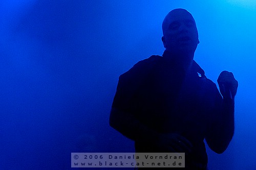 _DSC9431_klein.jpg