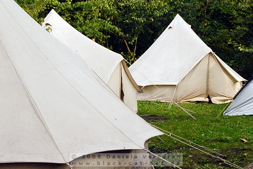 _DSC0130_klein.jpg