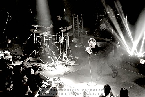 _DSC6464_klein.jpg