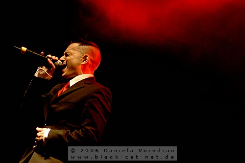 _DSC8463_klein.jpg