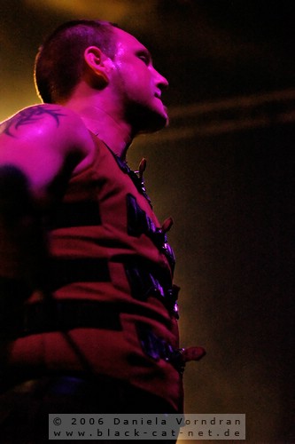 _DSC0029_klein.jpg