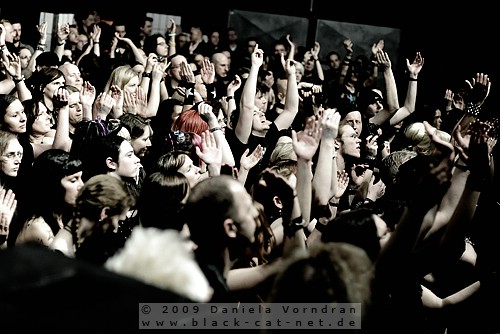 _DSC2306_klein.jpg