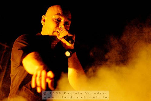 _DSC3799_klein.jpg