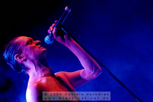 _DSC9394_klein.jpg