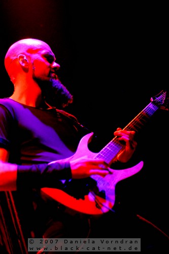_DSC6353_klein.jpg