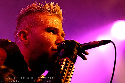 _DSC1702_klein.jpg