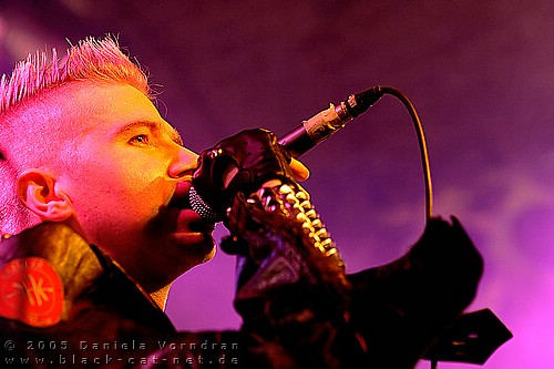 _DSC1703_klein.jpg