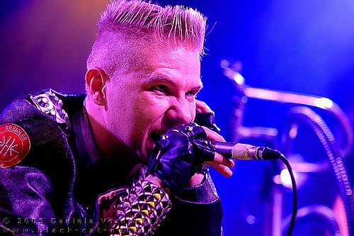 _DSC1727_klein.jpg
