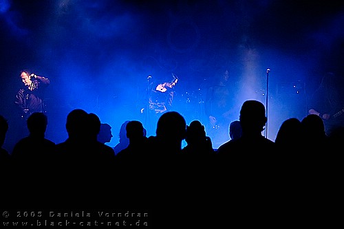 _DSC2408_klein.jpg