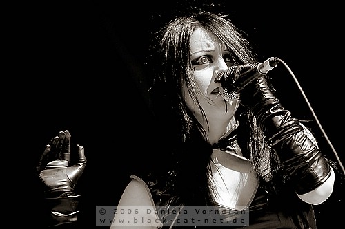 _DSC0558_klein.jpg