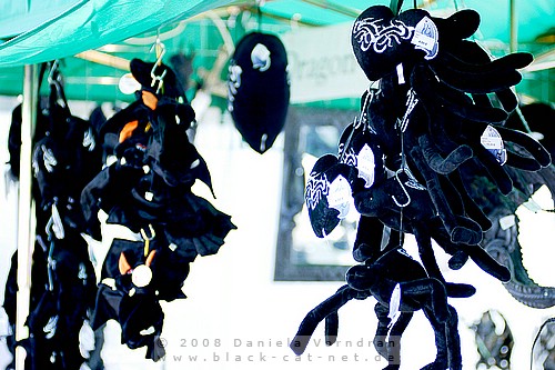 _DSC7250_klein.jpg