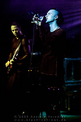 _DSC8409_klein.jpg